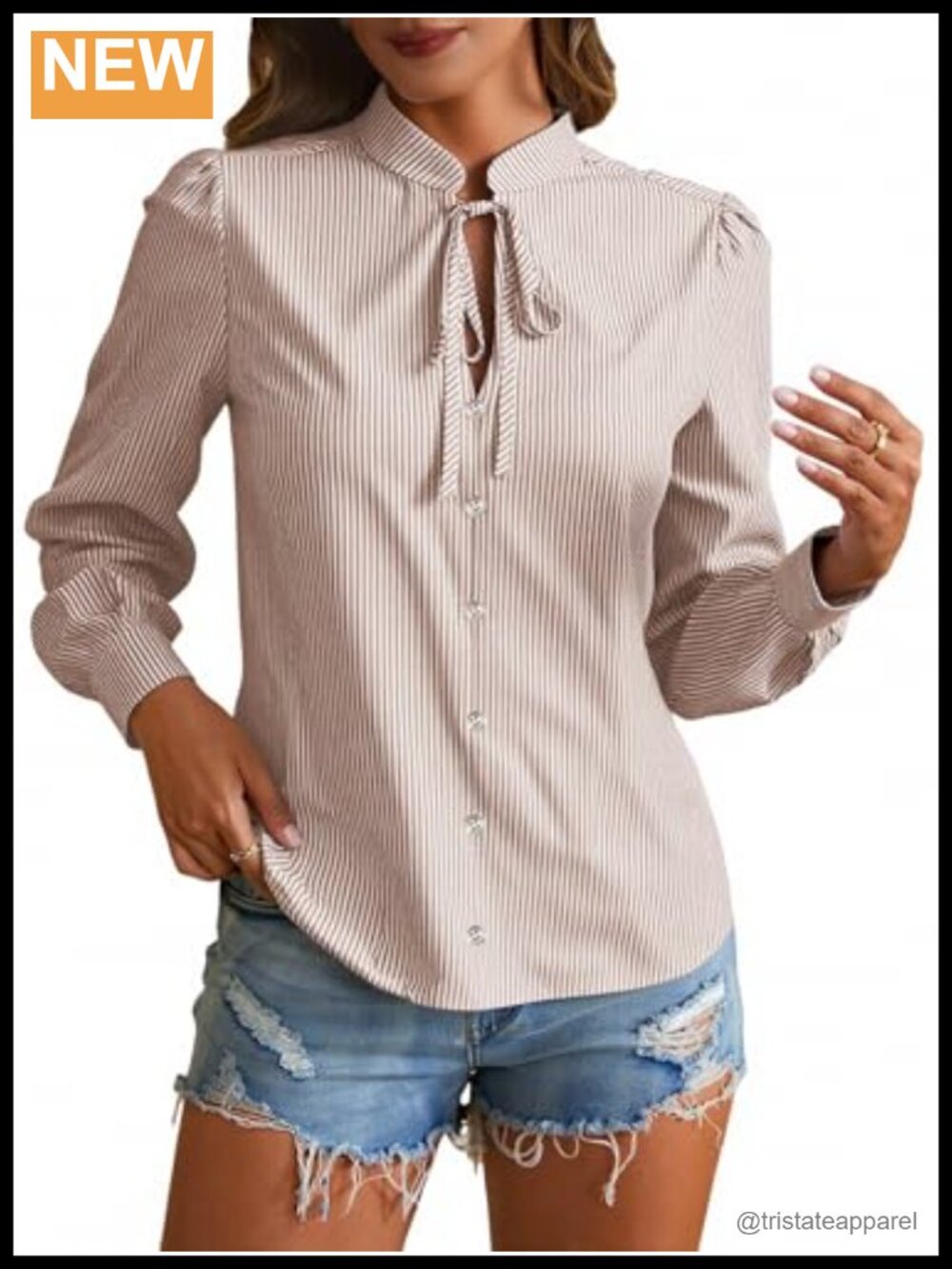 Striped Button Down Tie Neck Lantern Long Sleeve Blouse Women Office